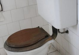 10 things dirtier than your toilet seat